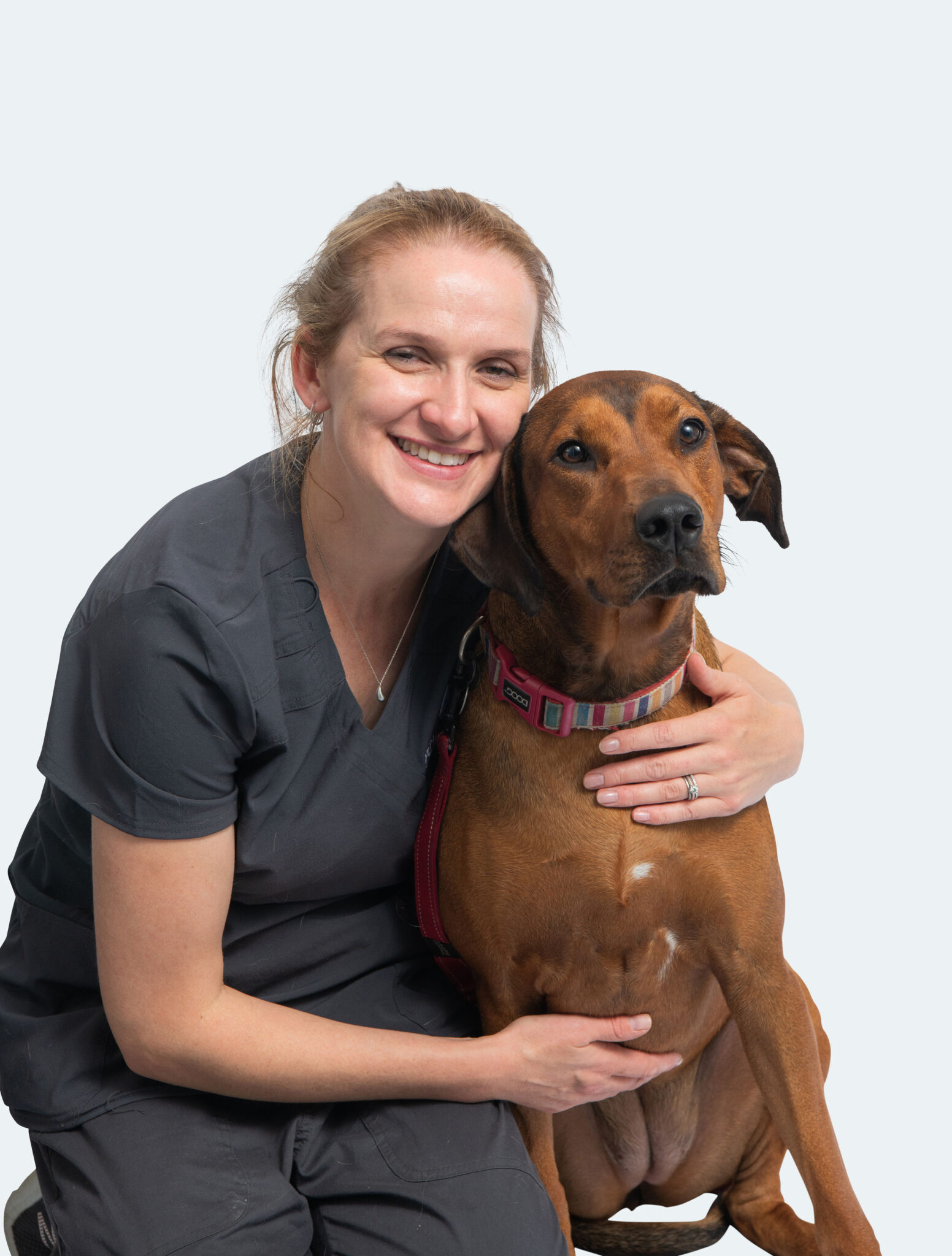 About Pendle Hill Vets